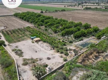 Ocasión: Venta de Fundo de 4 Hectáreas Aprox. en El Carmen, Chincha