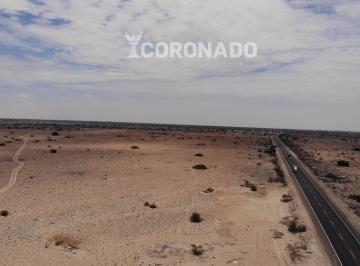 Fundo Venta en Olmos Panamericana Norte Km 884