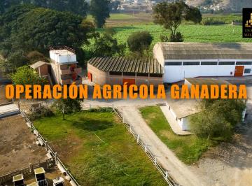 Venta de Fundo Agricola Ganadero en Pachacamac de 12.8 Has