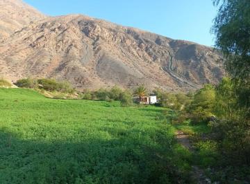 Haz Realidad Tu Proyecto Rural: Fundo Ganadero y Agrícola en El Corazón de Sancos - Ayacucho