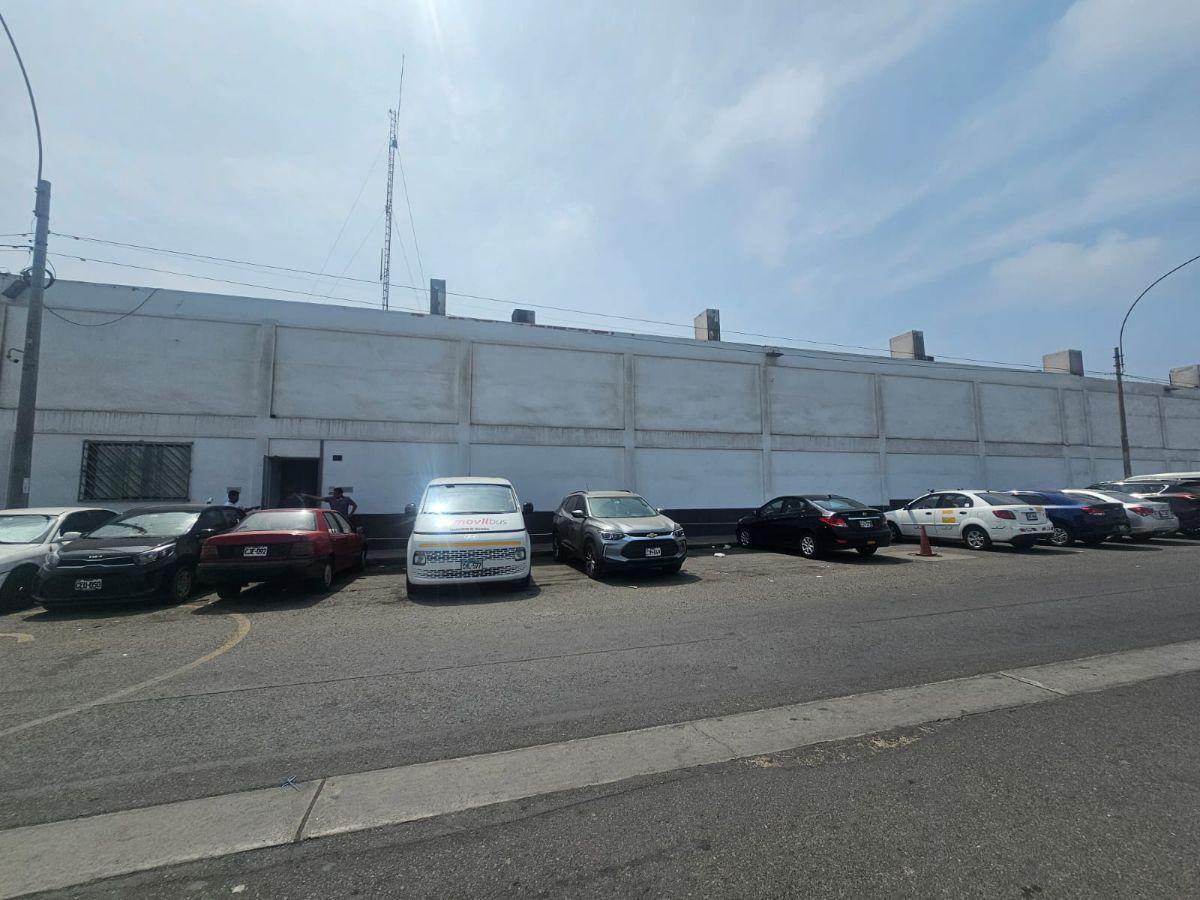 Callao | 1, 600 m² | Edificio Corporativo | Av. Elmer Faucett |