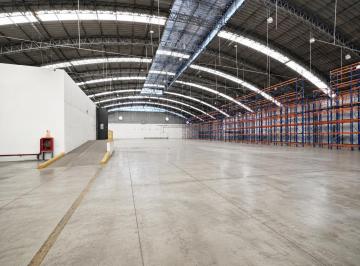 Almacén Industrial en Alquiler - 6000 m² - Callao