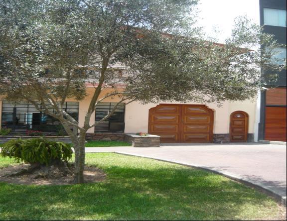 Alquiler Casa Para Oficina Jesus Maria