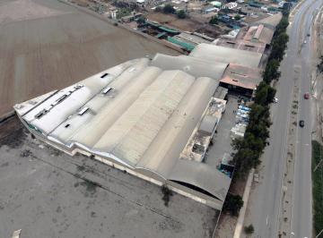 (137 m de Frente a Av. Manuel Valle) Ex - Fabrica Textil en Alquiler