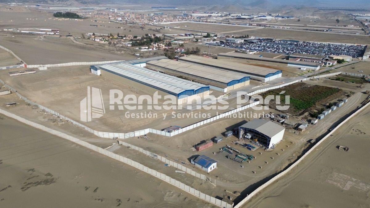 Alquiler de 25, 000 m² en Centro Logístico Industrial Av. Martir Olaya - Lurín
