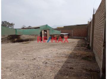 Se Alquila Seguro y Versátil Local en Pachacamac