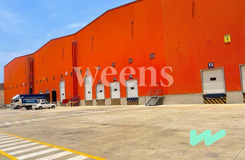 Weens Almacenes: Calidad Internacional. Variadas Alturas y Tamaños
