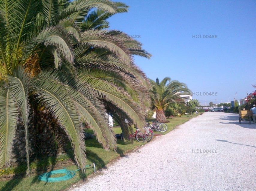 Vendo Linda Casa en Calle Condominio Cocoa N 1, Fila 5, Playa Cocoa Km 102, Asia
