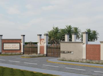Vendo Lotes Hierba Santa – Chincha, Ica | Lote 500 m²