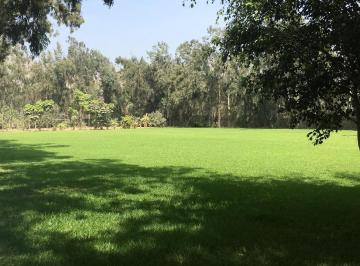 Realmente Hermosos 15, 000 m² Todo Verde en Cieneguilla con Deck.