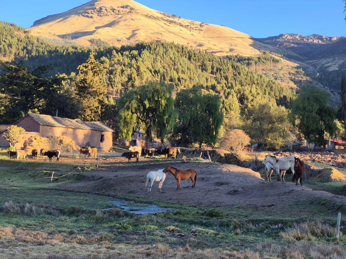 Vendo Hermosa Propiedad en El Valle Sagrado de Los Incas, Cusco (Yellowstone Park del Peru)