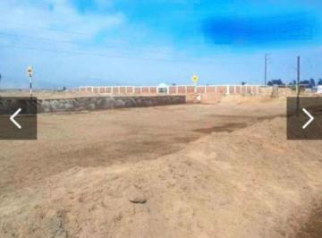 Se Venden 28 Hectáreas en Chincha ¡Excelente Oportunidad!.