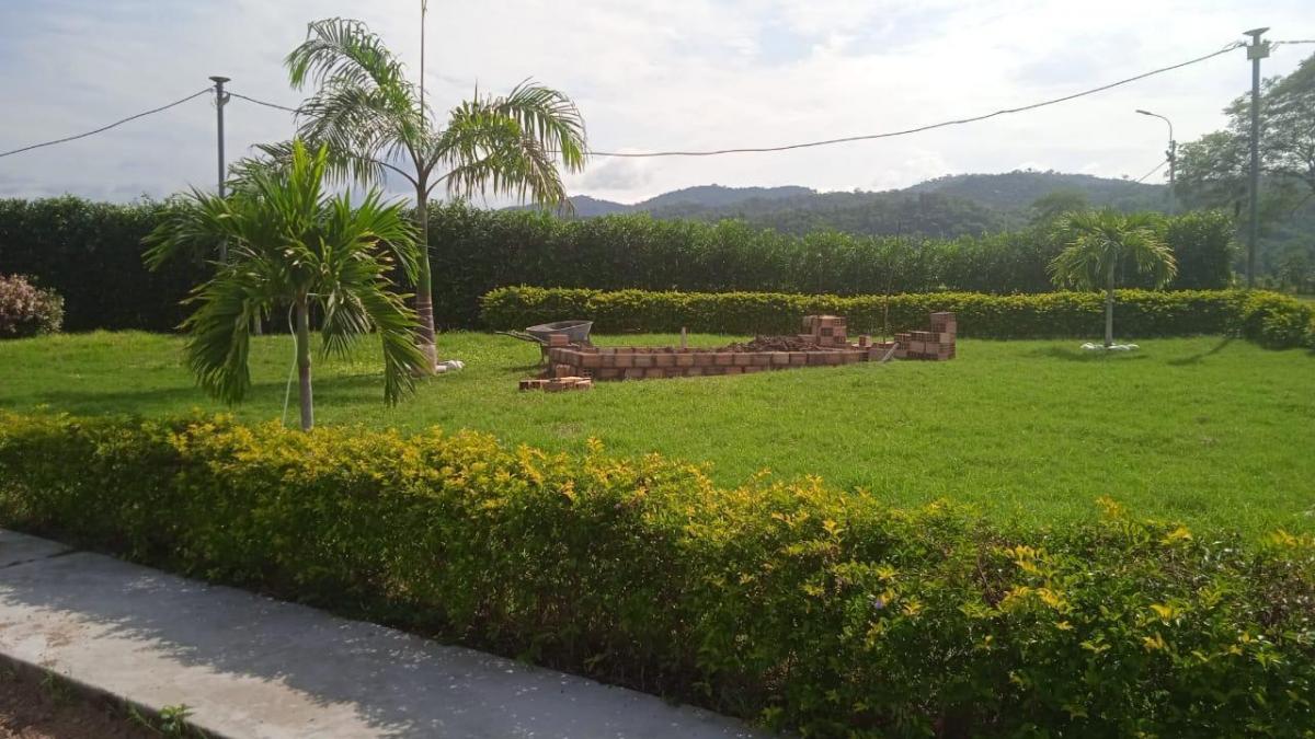 ¡Aprovecha! 4 Lotes, Ideal Para Proyecto Turistico Vacacional en San Martín