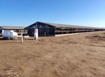 Oportunidad Agrícola en La Joya – 5 Hectáreas