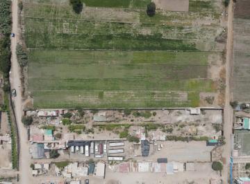 Predio Rural Naranjo en Venta