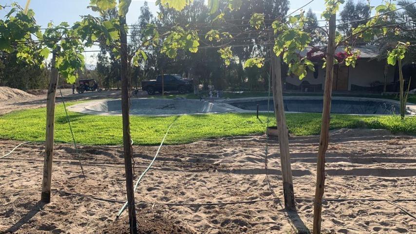 Vendo Bonita Casa de Campo Flat en Avenida Condominio Agrícola Los Olivos N 1, Paracas