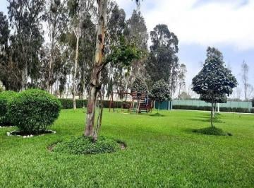 ¡La Mejor Oportunidad de Tener Tu Casa de Campo en Pucusana!