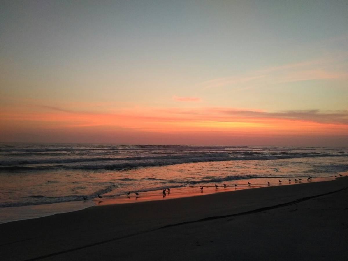 2 Hermosas Casas de Playa y Campo en La Punta de Bombón en Venta