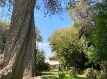Vendo Casa de Campo de 2, 127 m², con Capilla Privada - Invierte en Sabandìa