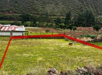 Tu Refugio Natural Te Espera en San Salvador
