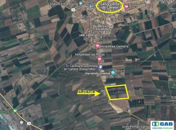29.2 Has Sobre Panamericana Sur Antigua Km 148, San Vicente de Cañete