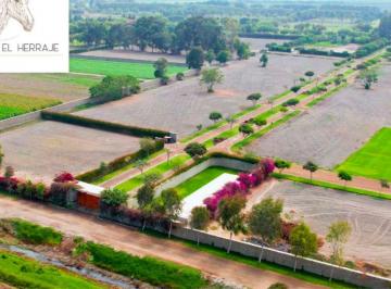 Venta de Lotes Exclusivos en Condominio El Herraje – Cañete | Desde 2, 200 m² Hasta 6, 360 m²