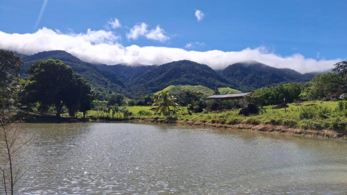 Lotes + Club en Selva Profunda
