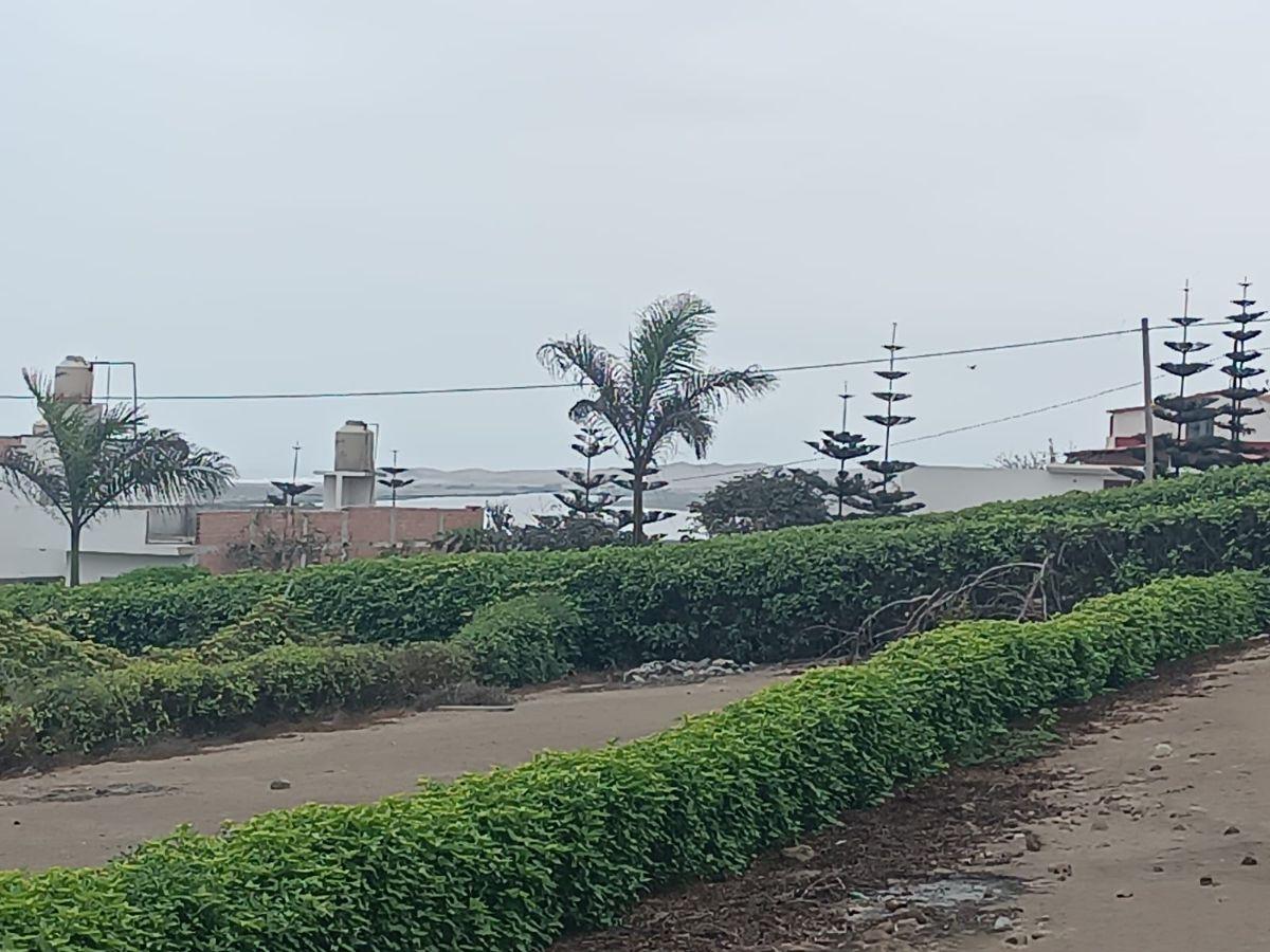Venta de Terrenos Desde 200 m² Proyecto de Playa en Albufera Medio Mundo – Huaura