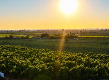 Terrenos en Venta en San Isidro, La Joya