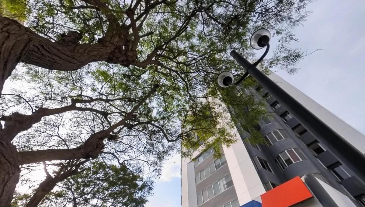 Departamento en San Isidro, Amoblado, Cochera, Ubicacion Centrica y Accesible!