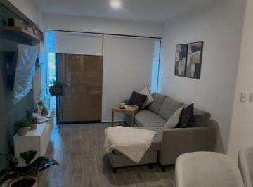 Founder – Vive El Diseño y La Exclusividad en Miraflores