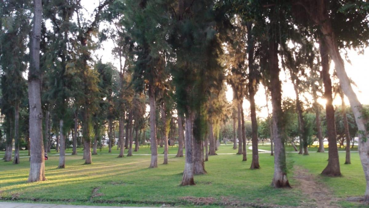Vendo Lindo Departamento Frente a Parque en Calle Esmeralda 3, Chacarilla, San Borja