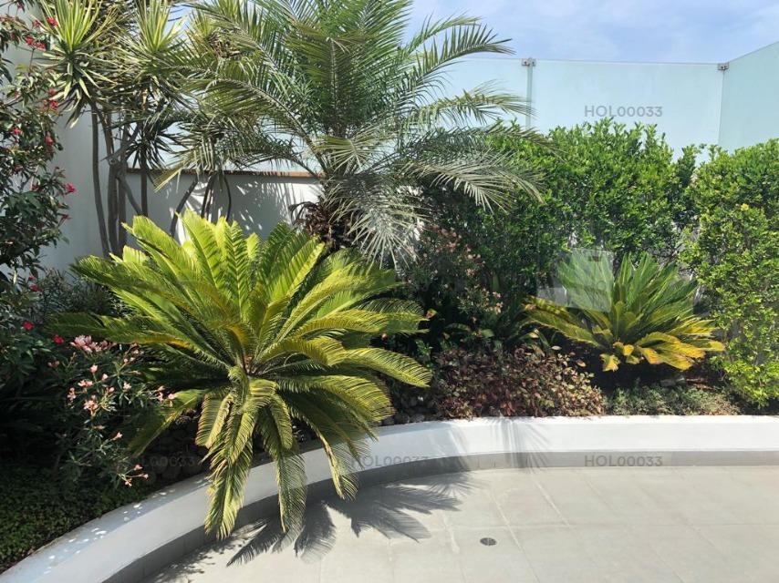 Vendo Lindo Departamento Duplex en Calle Picaflores N 1, Piso 2, Urb. Chacarilla, San Borja