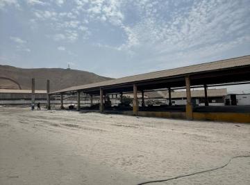 Oportunidad! Alquilo Terreno en Ventanilla Callao