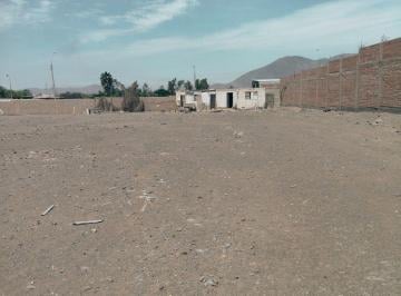 Terreno de 10 Mil m² Papa Leon XIII Chilca