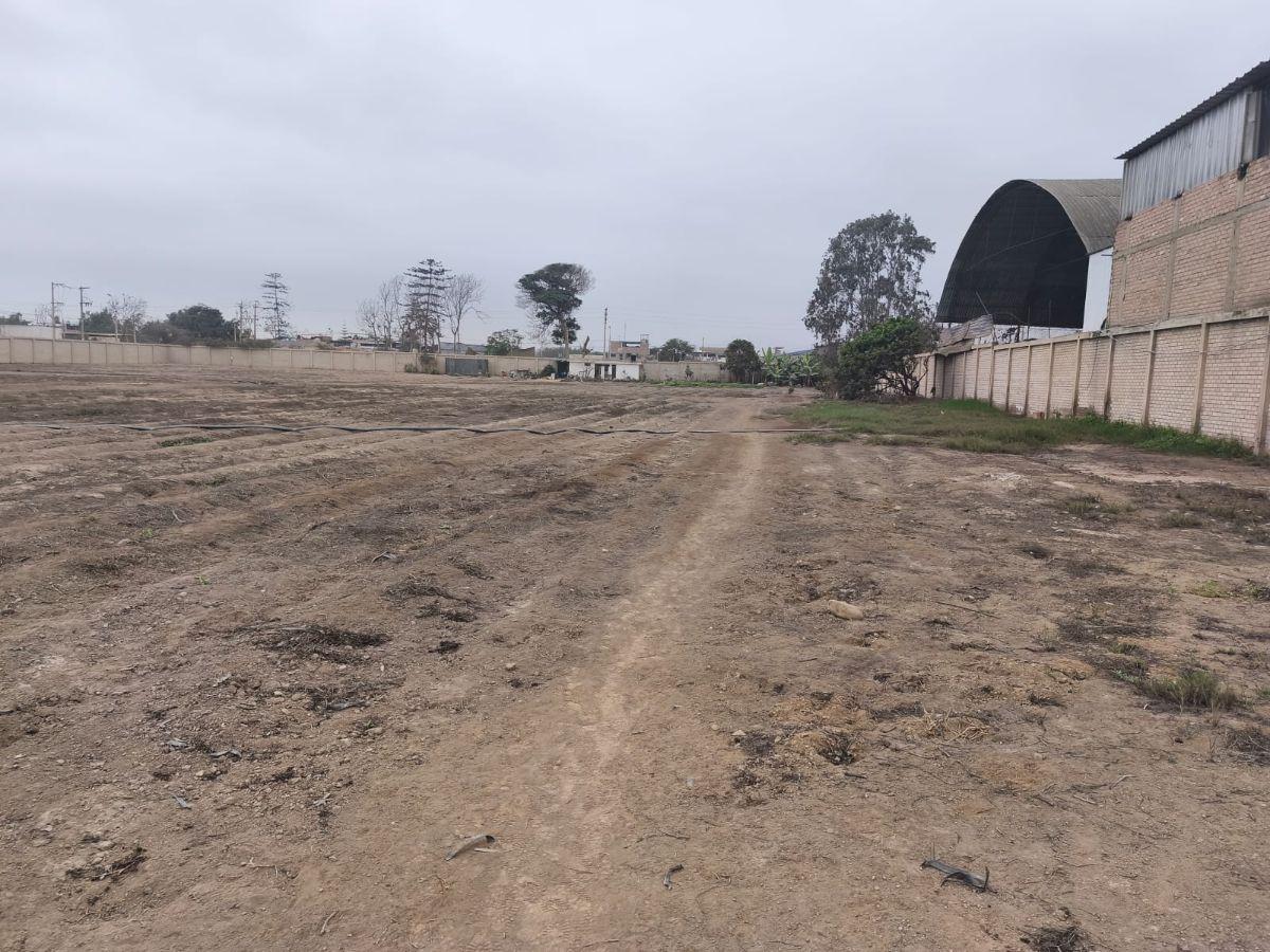 Terreno en Lurín – Excelente Ubicación E Infraestructura