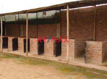 Se Alquila Terreno Habilitado Para Guardería de Perros en Pachacamac