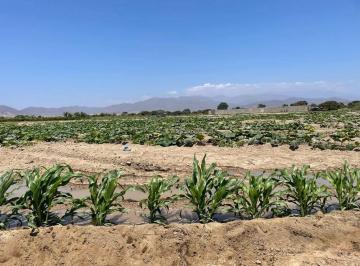 Venta de Terreno en Asia.
