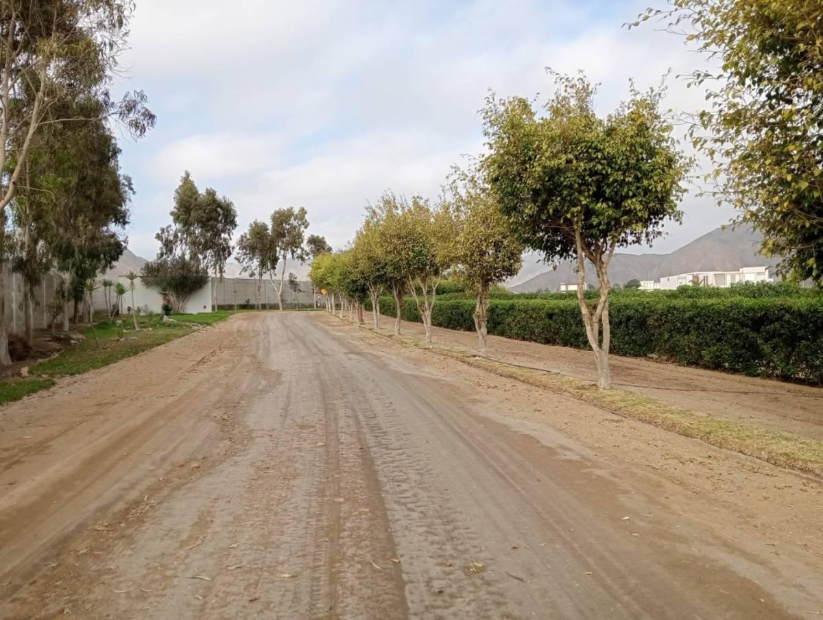 Terreno en Cañete