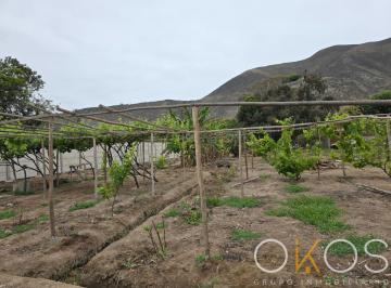 Terreno de Cultivo de 2, 549 m²