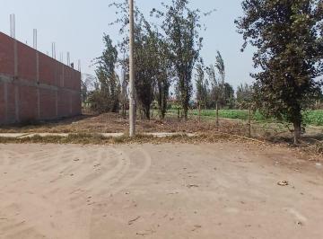 Venta de Terreno en La Arboleda 1era Etapa - Carabayllo