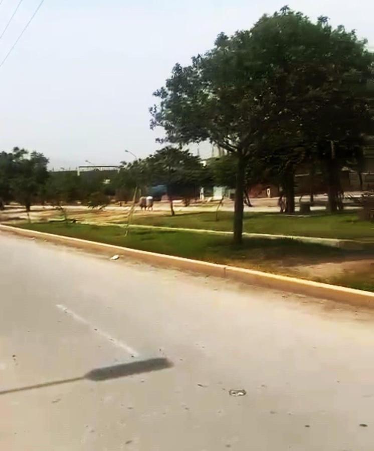 Venta de Terreno en Carabayllo Id: 3 7 6 4 3