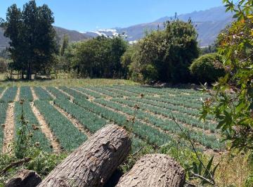 Venta de Terreno en Llacta – Caraz