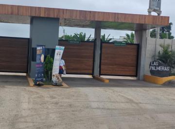 Venta Terreno Playa Las Palmeras Cañete