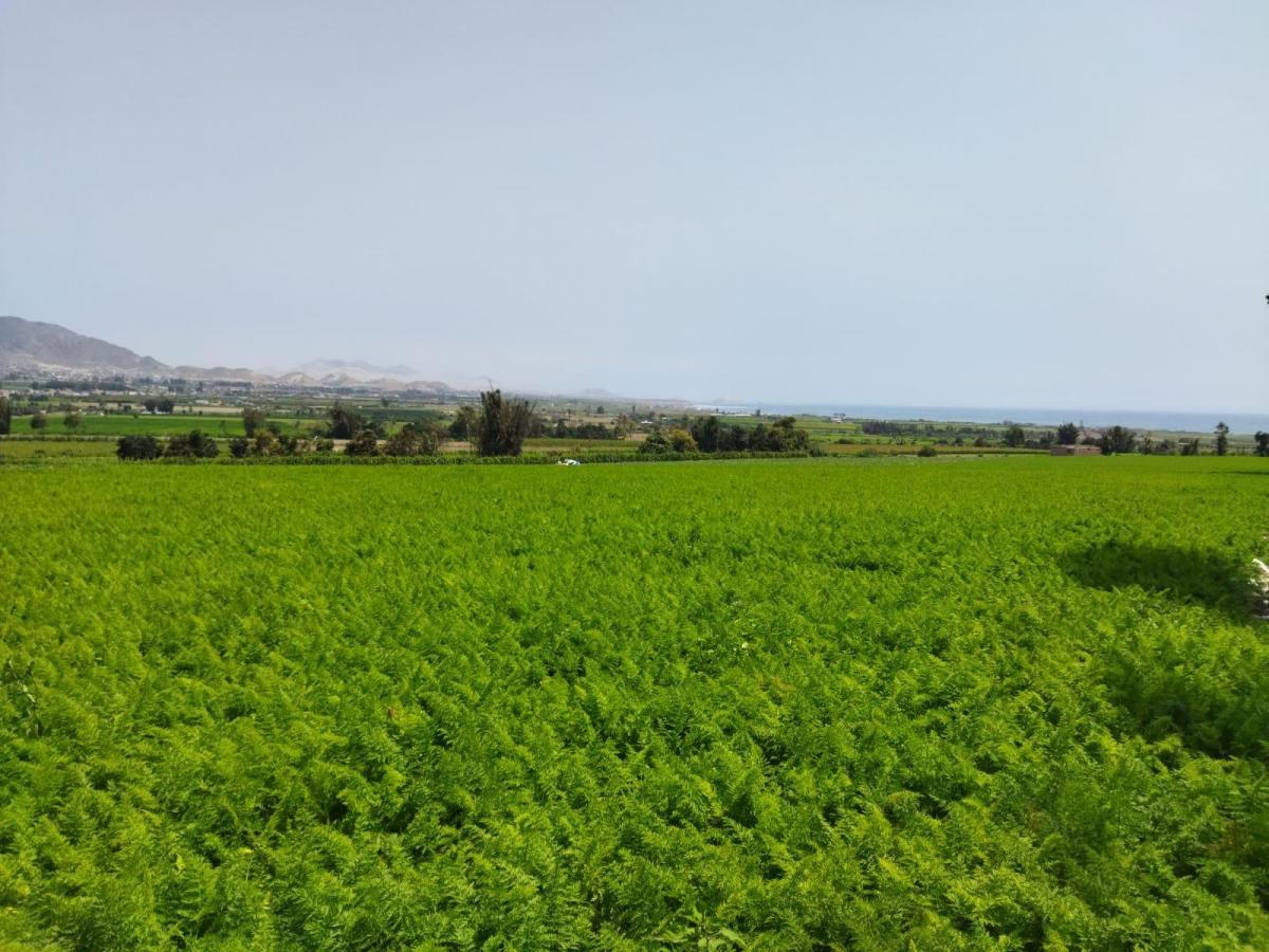 Ocasión Vendo Terreno Chancayllo 180, 000 m² - Chancay