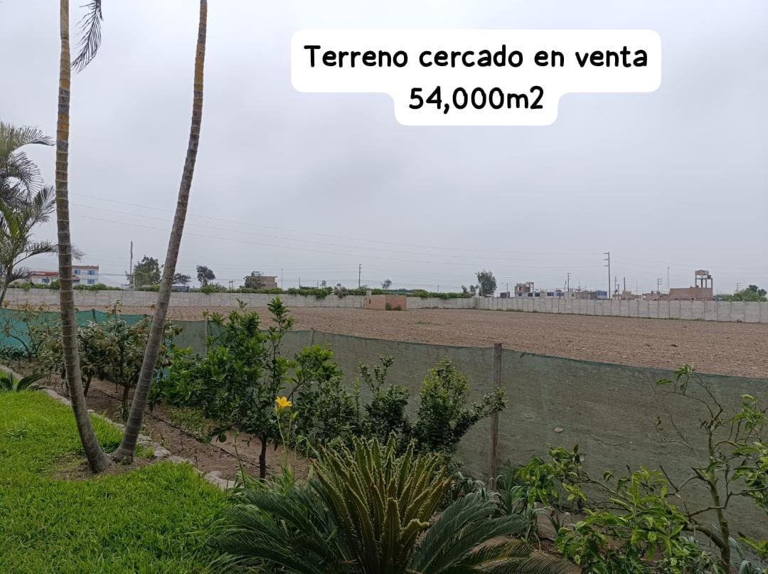 Terreno con 54000 m² en Venta en Chancay