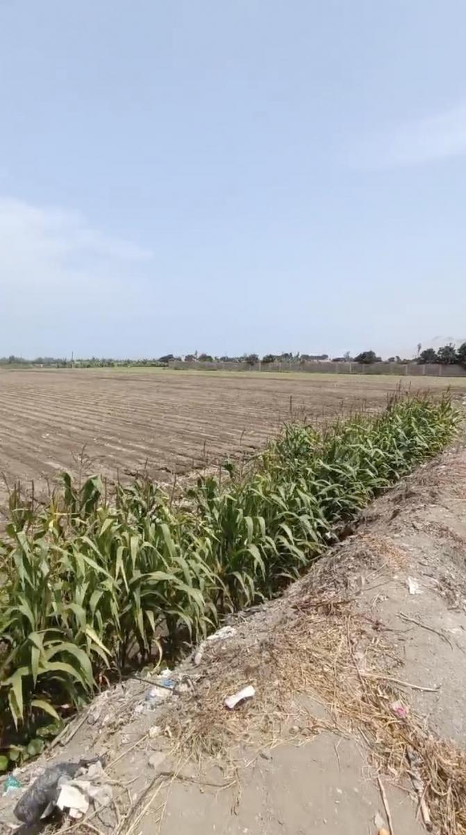Terreno en Chancay 38, 000 m²