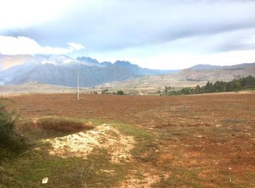 Venta de Hermoso y Productivo Terreno Agrícola en Chilca