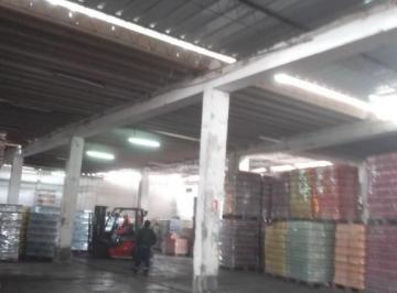 Vendo Terreno en Chincha Local Comercial 1, 000 m² Av. Oscar R. Benavides F/soyus