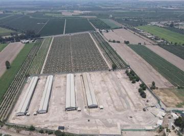I - 485 C Terreno en Chincha Baja - Venta